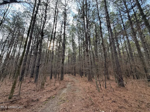 $575,000 | 1356 Harrell Road, Pheba, MS 39755