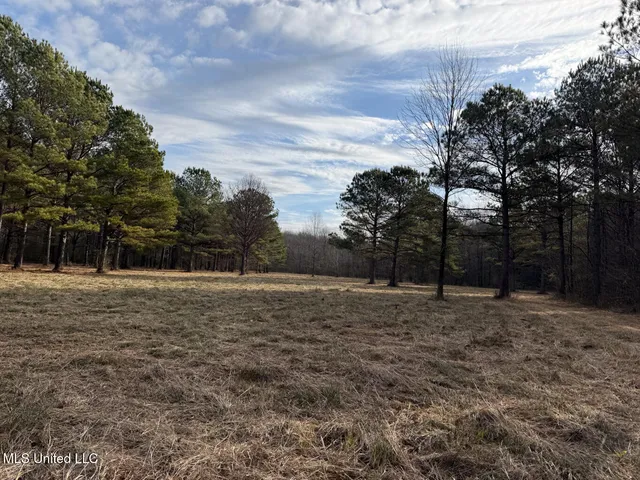 $575,000 | 1356 Harrell Road, Pheba, MS 39755