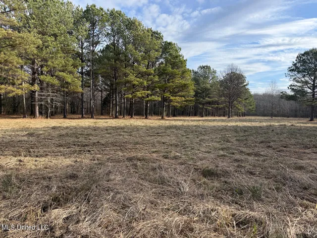 $575,000 | 1356 Harrell Road, Pheba, MS 39755