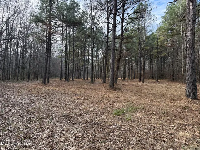 $575,000 | 1356 Harrell Road, Pheba, MS 39755