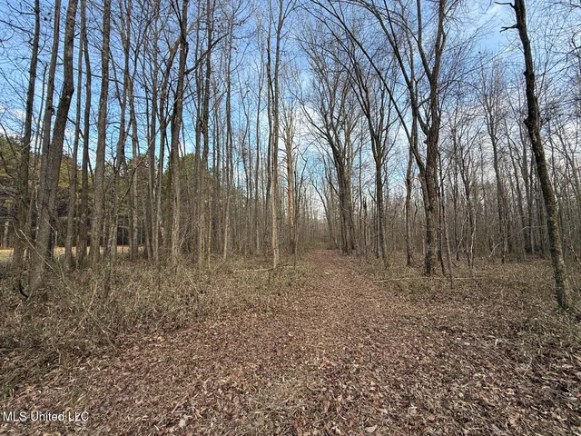 $575,000 | 1356 Harrell Road, Pheba, MS 39755