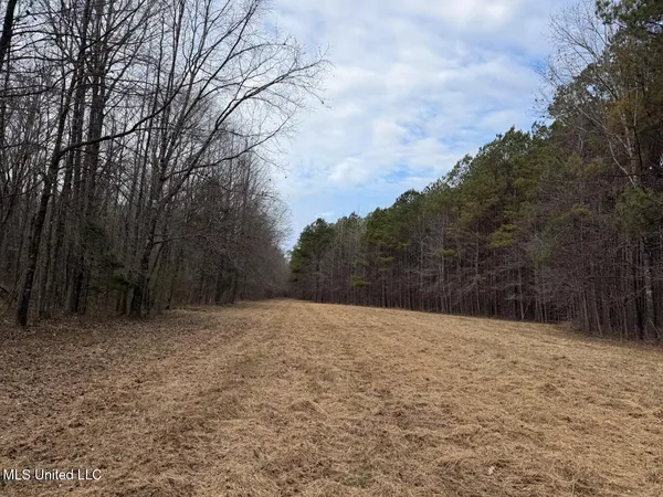 $520,000 | 1356 Harrell Road, Pheba, MS 39755