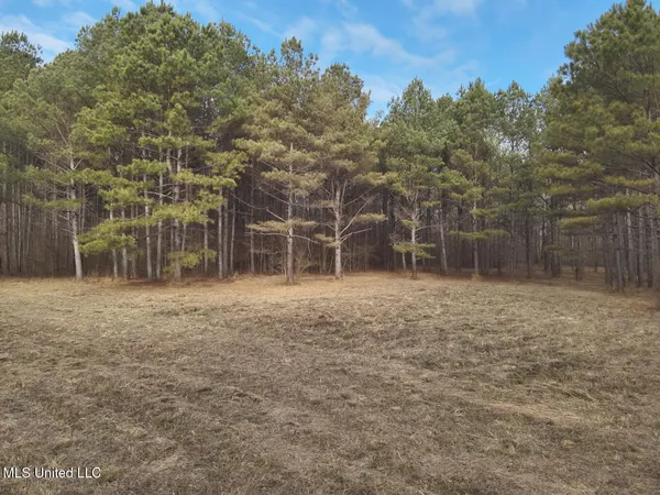 $520,000 | 1356 Harrell Road, Pheba, MS 39755