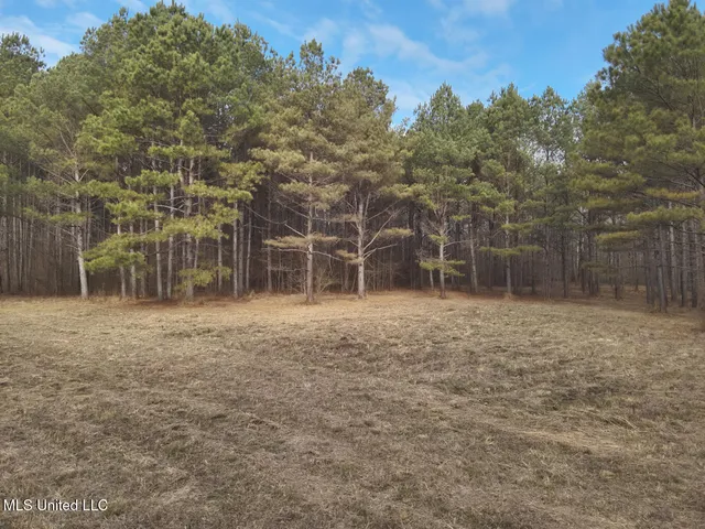 $575,000 | 1356 Harrell Road, Pheba, MS 39755