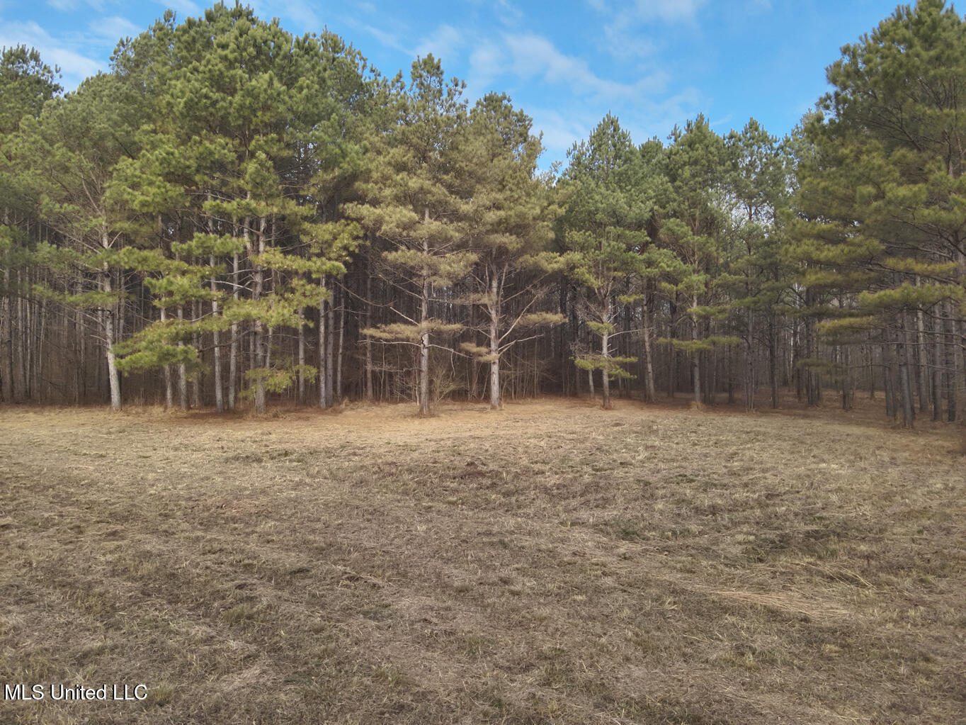 1356 Harrell Road Pheba, MS 39755 - Photo 3 of 35 Oktibbeha 106 resized-2-2