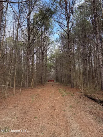 $575,000 | 1356 Harrell Road, Pheba, MS 39755