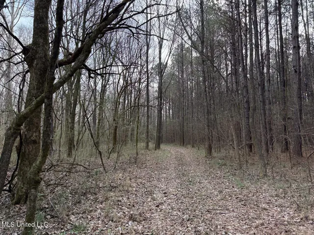 $575,000 | 1356 Harrell Road, Pheba, MS 39755