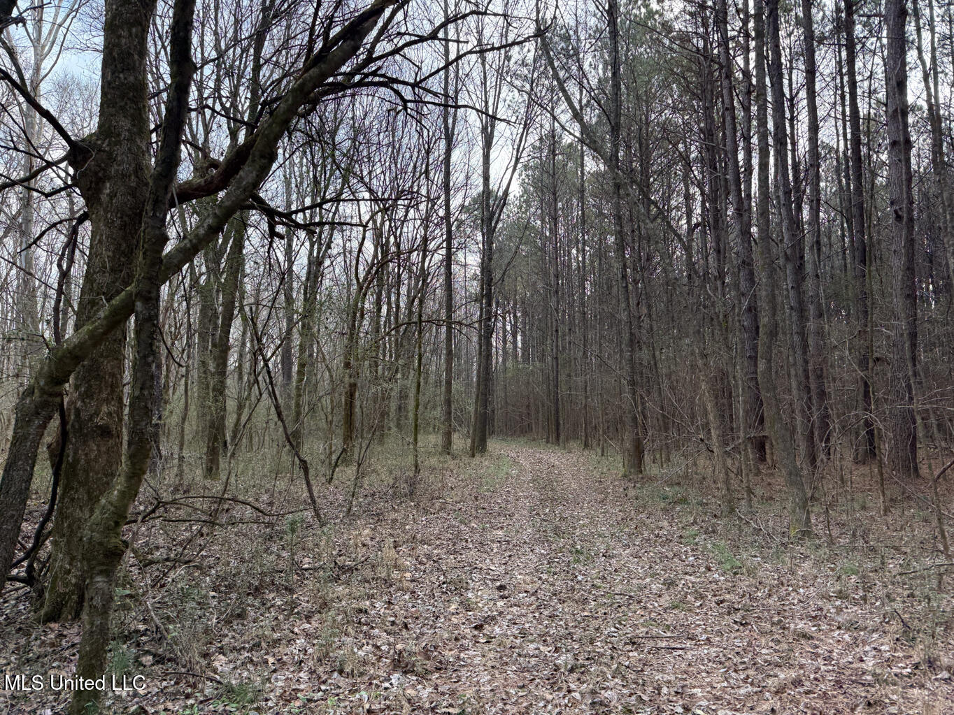 1356 Harrell Road Pheba, MS 39755 - Photo 35 of 35 Oktibbeha 106 resized-54