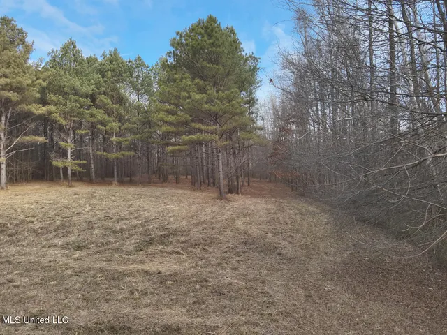 $575,000 | 1356 Harrell Road, Pheba, MS 39755