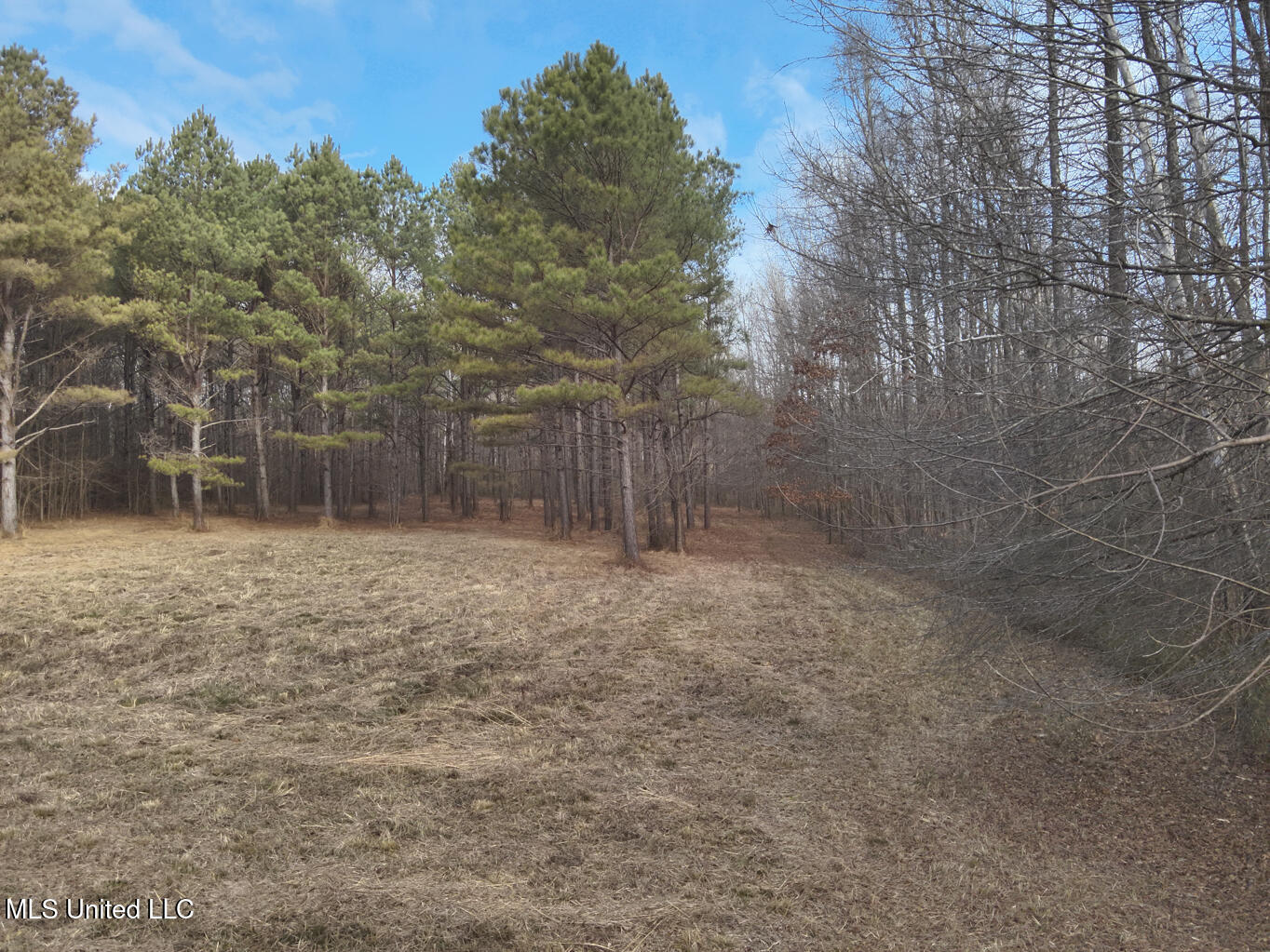 1356 Harrell Road Pheba, MS 39755 - Photo 5 of 35 Oktibbeha 106 resized-3-2