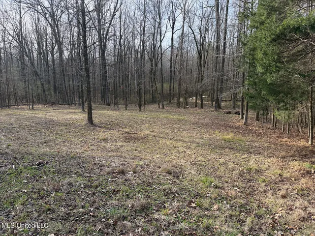 $575,000 | 1356 Harrell Road, Pheba, MS 39755