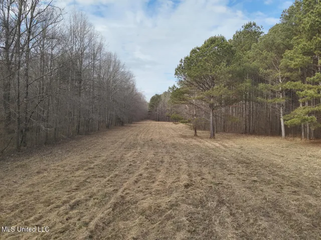 $575,000 | 1356 Harrell Road, Pheba, MS 39755