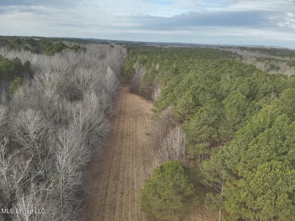 $520,000 | 1356 Harrell Road, Pheba, MS 39755