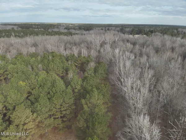 $520,000 | 1356 Harrell Road, Pheba, MS 39755