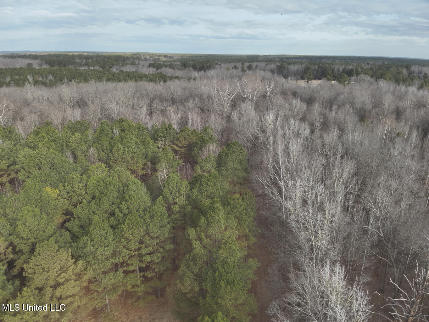 1356 Harrell Road Pheba, MS 39755 - Photo 9 of 35 Oktibbeha 106 resized-6-2