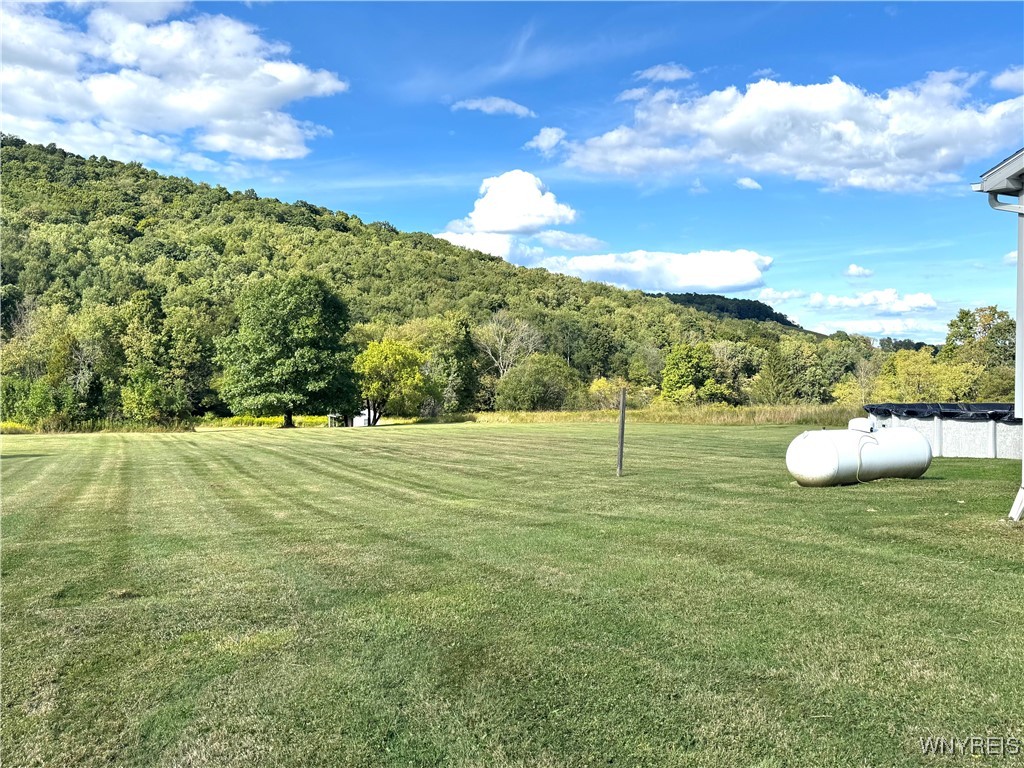 3868 West Branch Road Allegany, NY 14706 - Photo 2 of 31