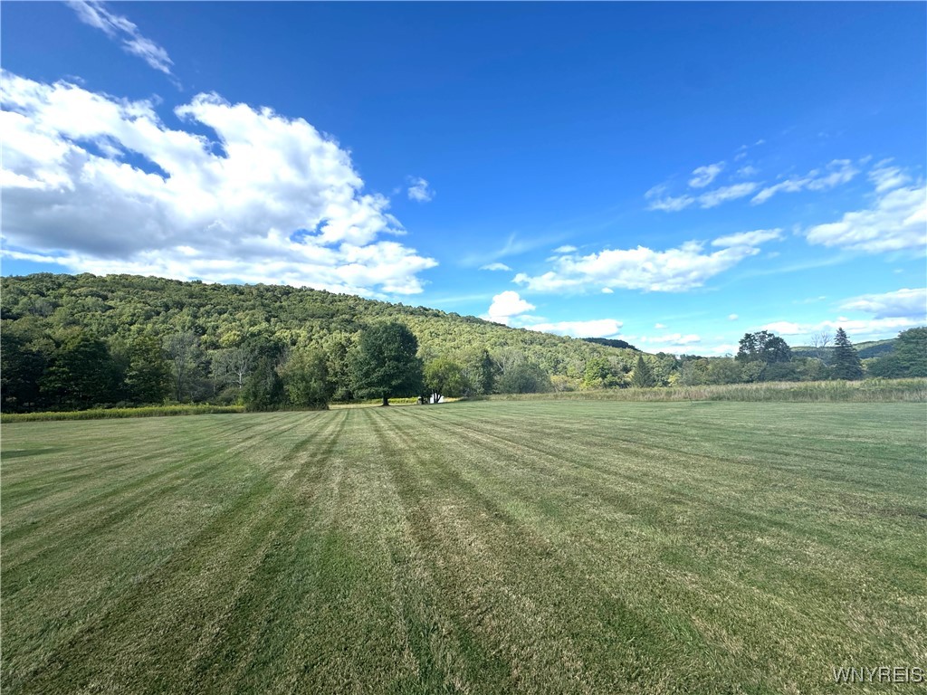 3868 West Branch Road Allegany, NY 14706 - Photo 3 of 31