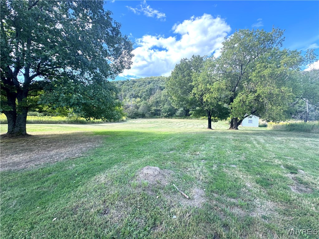 3868 West Branch Road Allegany, NY 14706 - Photo 4 of 31