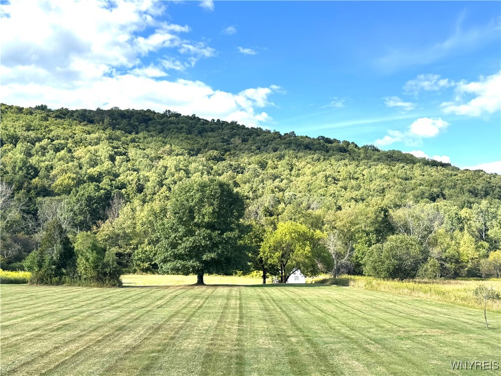 3868 West Branch Road Allegany, NY 14706 - Photo 8 of 31