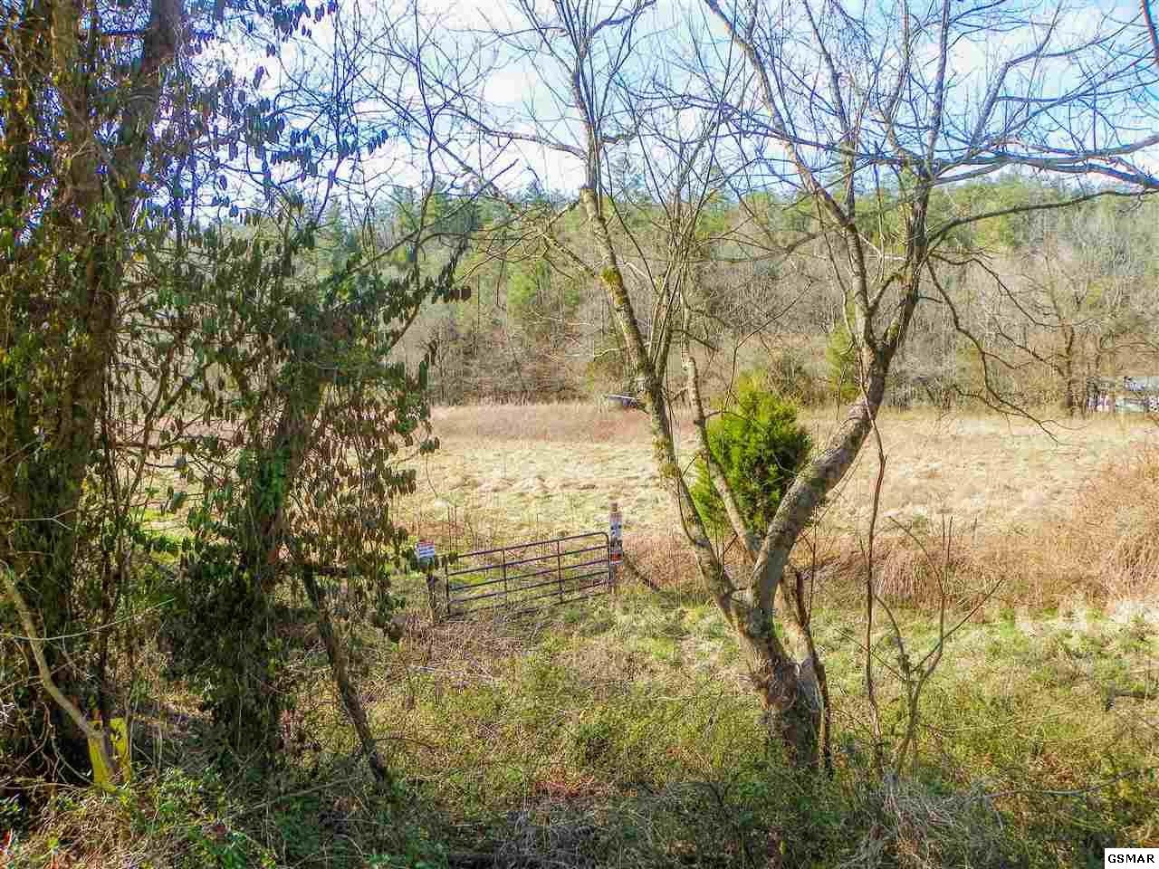 4957 Wilhite Road Sevierville, TN 37876 - Photo 4 of 9