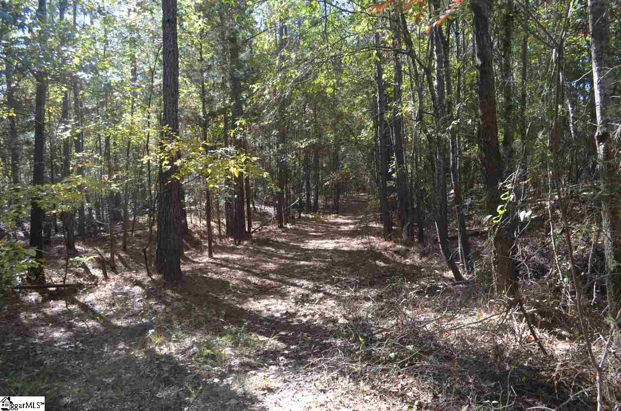 0 Main St Ext Street Ware Shoals, SC 29692 - Photo 1 of 5