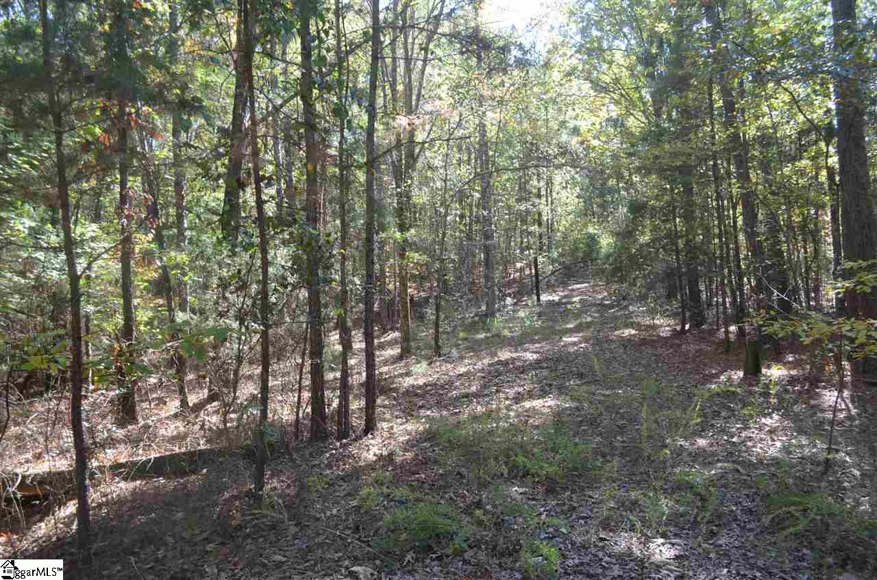 0 Main St Ext Street Ware Shoals, SC 29692 - Photo 2 of 5