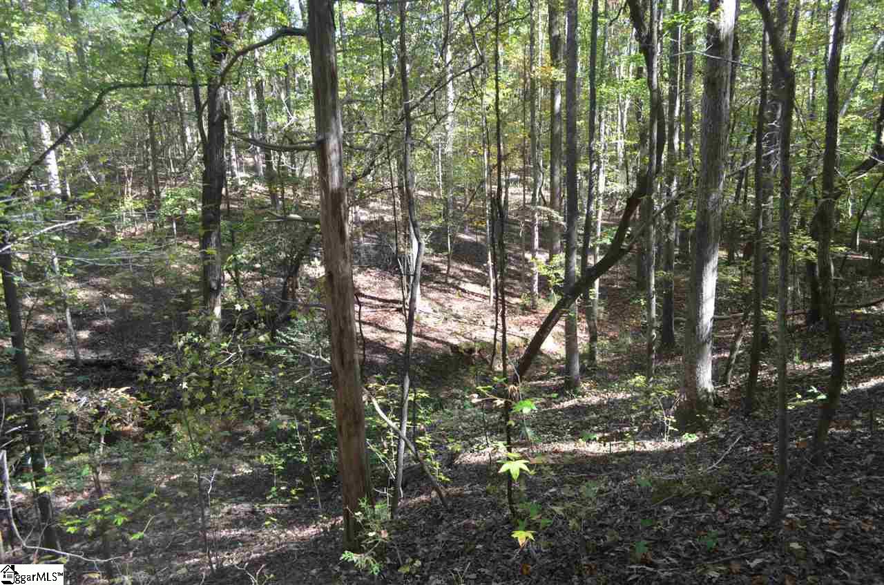 0 Main St Ext Street Ware Shoals, SC 29692 - Photo 3 of 5