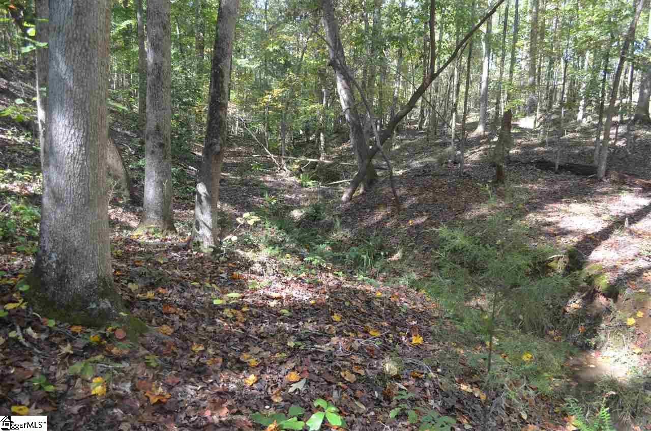 0 Main St Ext Street Ware Shoals, SC 29692 - Photo 4 of 5