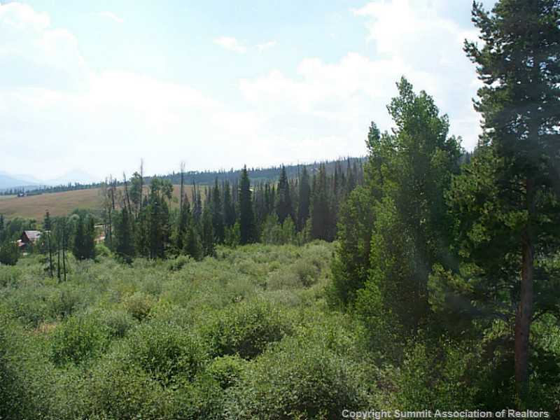 613 Willowbrook Road Silverthorne, CO 80498 - Photo 22 of 22 View.