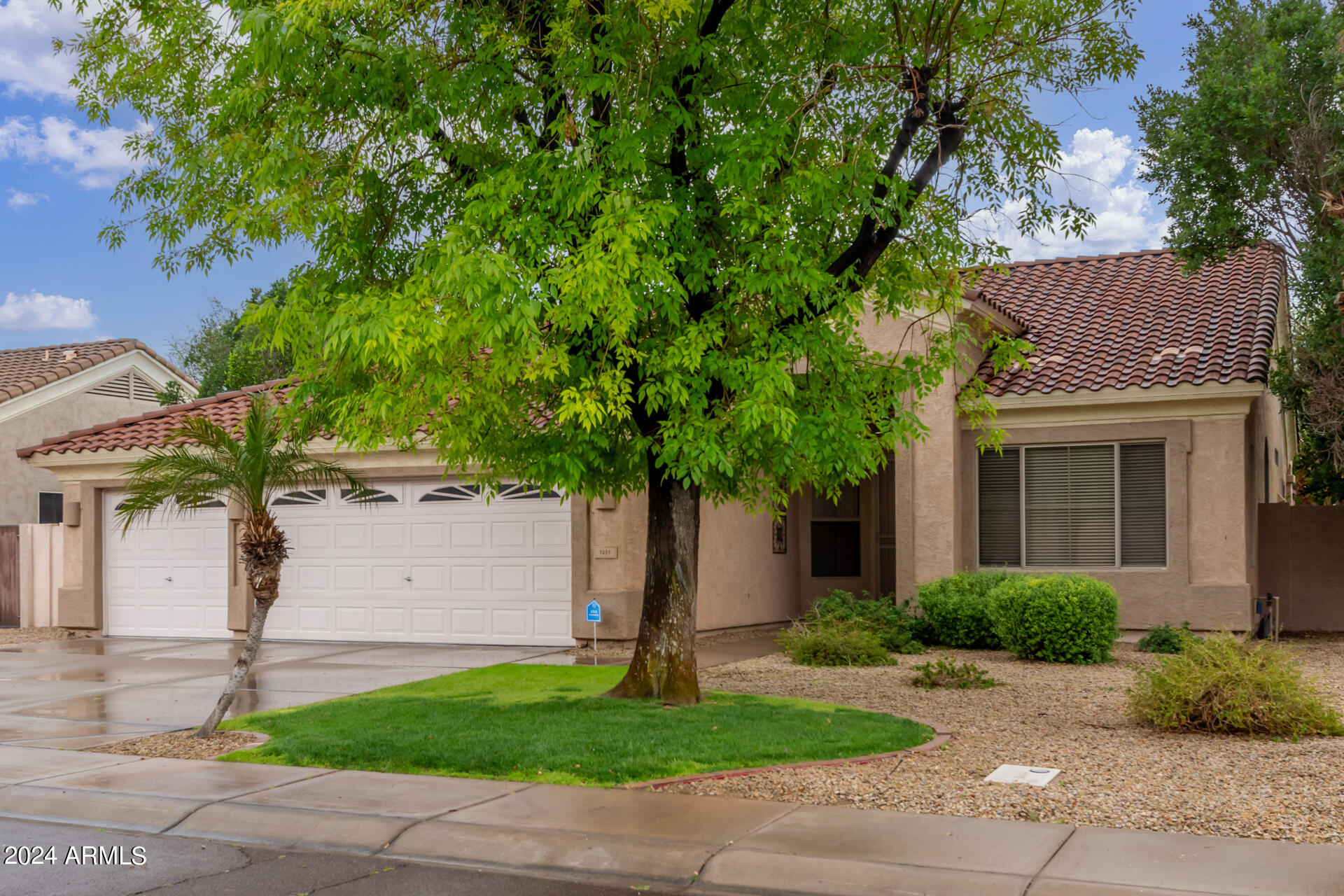 1251 West Hawken Way Chandler, AZ 85286 - Photo 6 of 38 0006-06 - Hawken