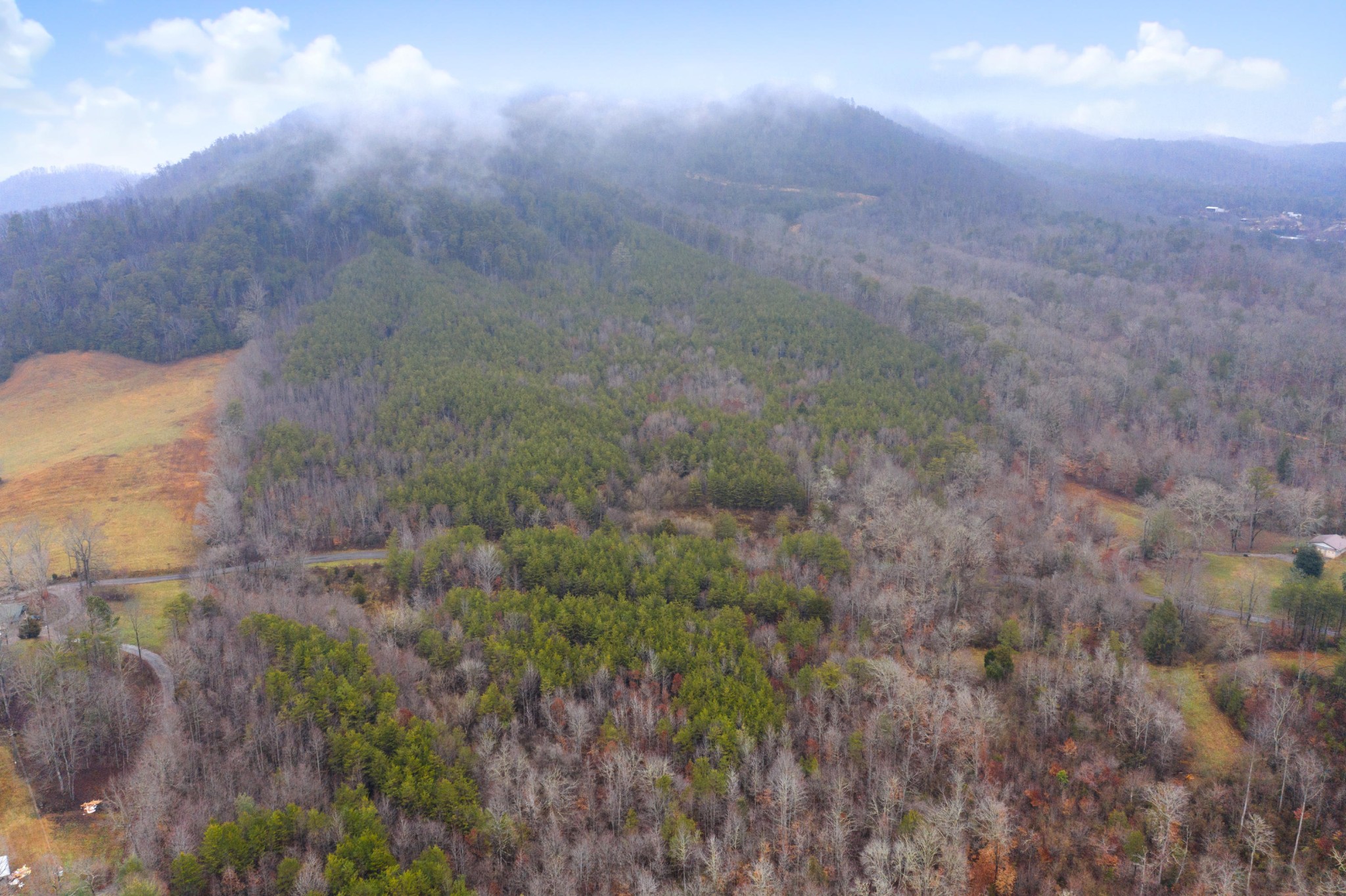 0 Baker Road Tellico Plains, TN 37385 - Photo 10 of 31 Gallery Image 10