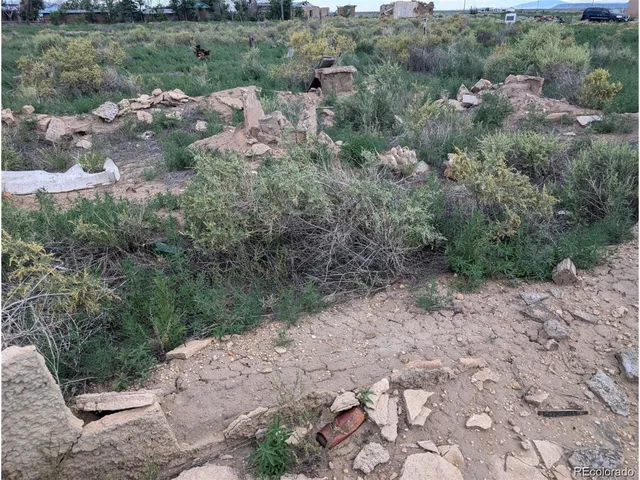 a view of a forest with trees