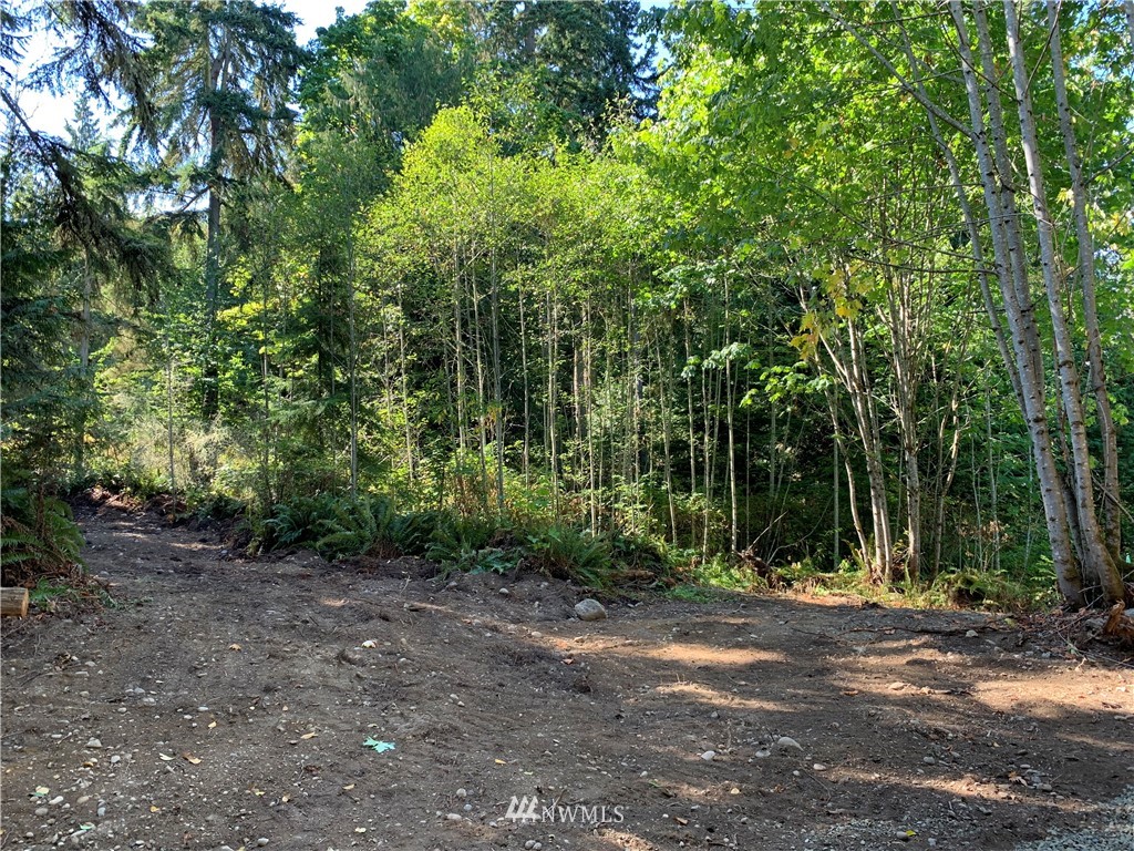 30 Fairmount Road Port Townsend, WA 98368 - Photo 12 of 31 Gallery Image 12