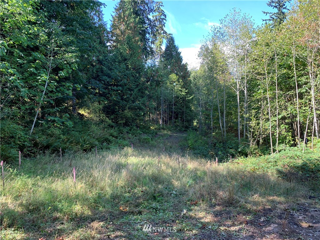 30 Fairmount Road Port Townsend, WA 98368 - Photo 18 of 31 Gallery Image 18