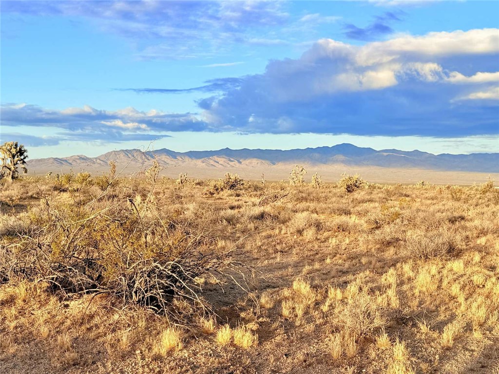 20030 South Billy The Kid Road Yucca, AZ 86438 - Photo 12 of 20