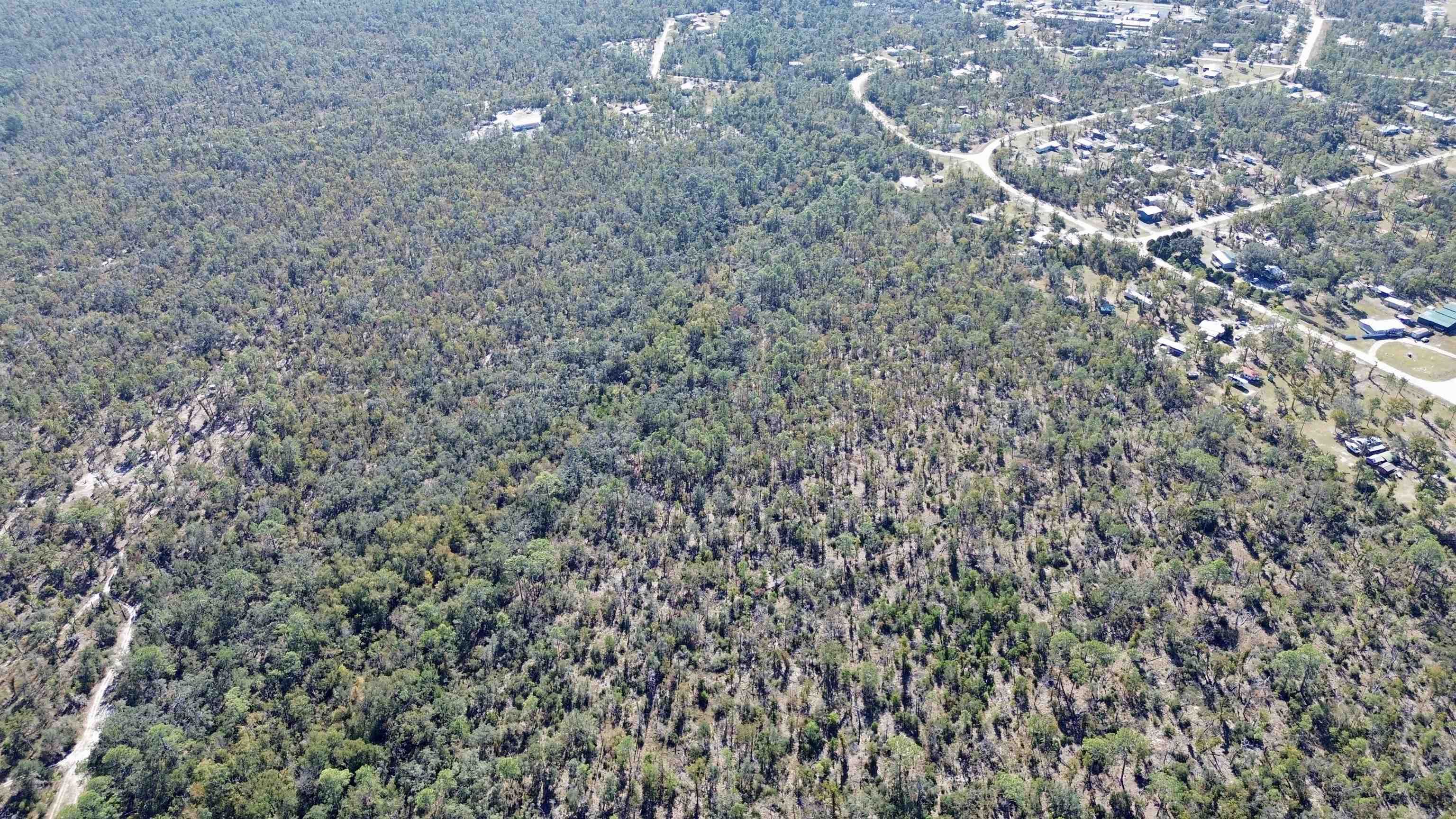 Tbd Clearwater Creek Lane Perry, FL 32348 - Photo 11 of 20