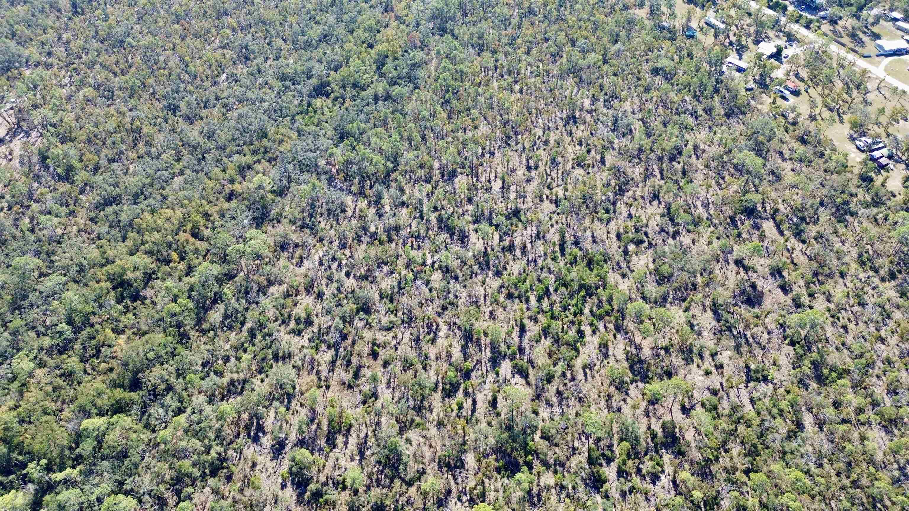 Tbd Clearwater Creek Lane Perry, FL 32348 - Photo 12 of 20