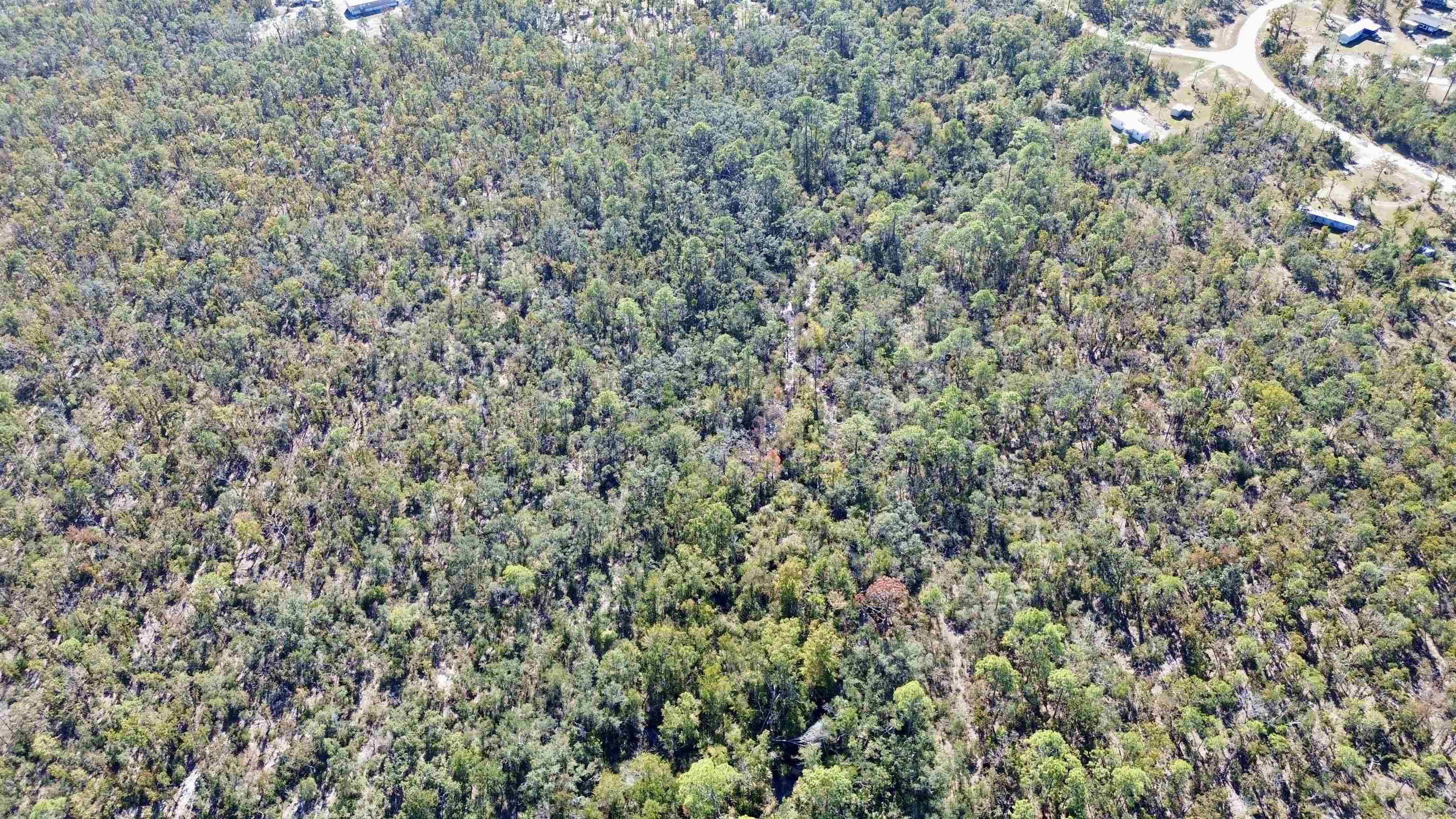 Tbd Clearwater Creek Lane Perry, FL 32348 - Photo 15 of 20