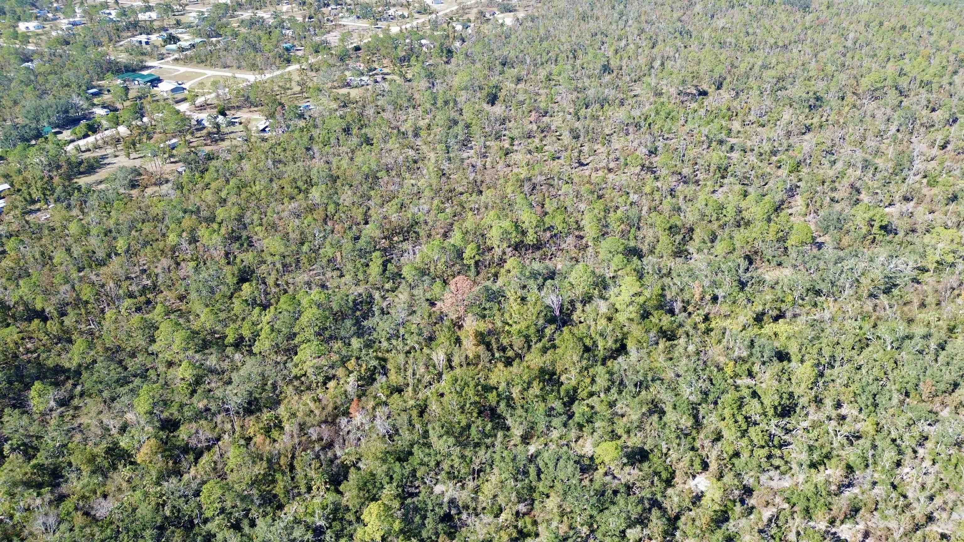 Tbd Clearwater Creek Lane Perry, FL 32348 - Photo 20 of 20
