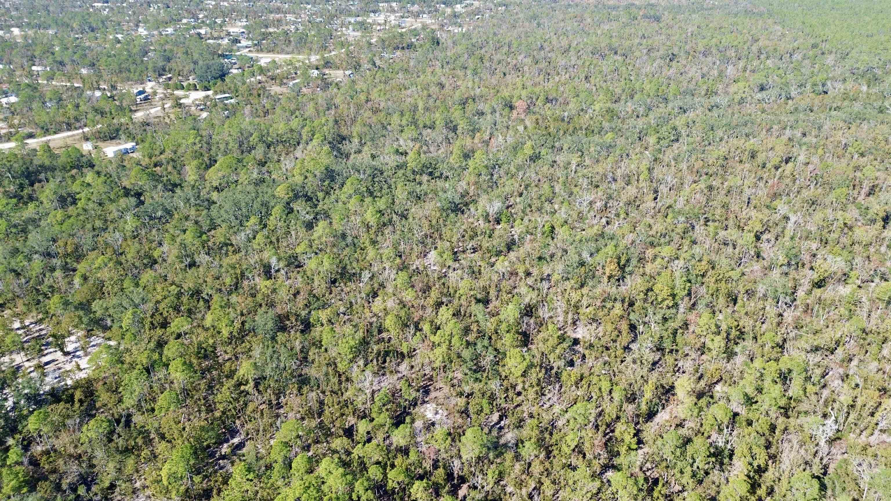 Tbd Clearwater Creek Lane Perry, FL 32348 - Photo 3 of 20