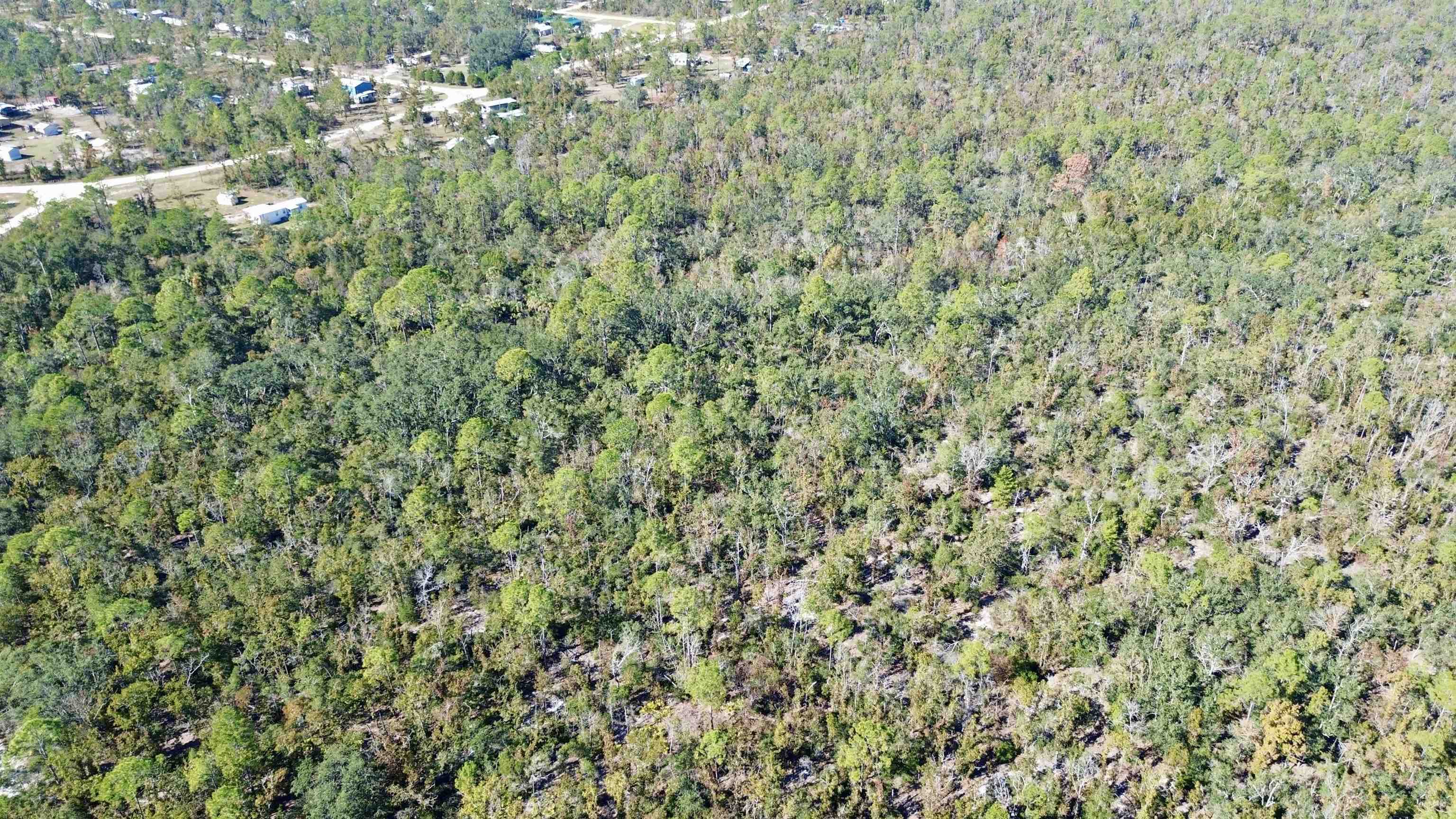 Tbd Clearwater Creek Lane Perry, FL 32348 - Photo 4 of 20