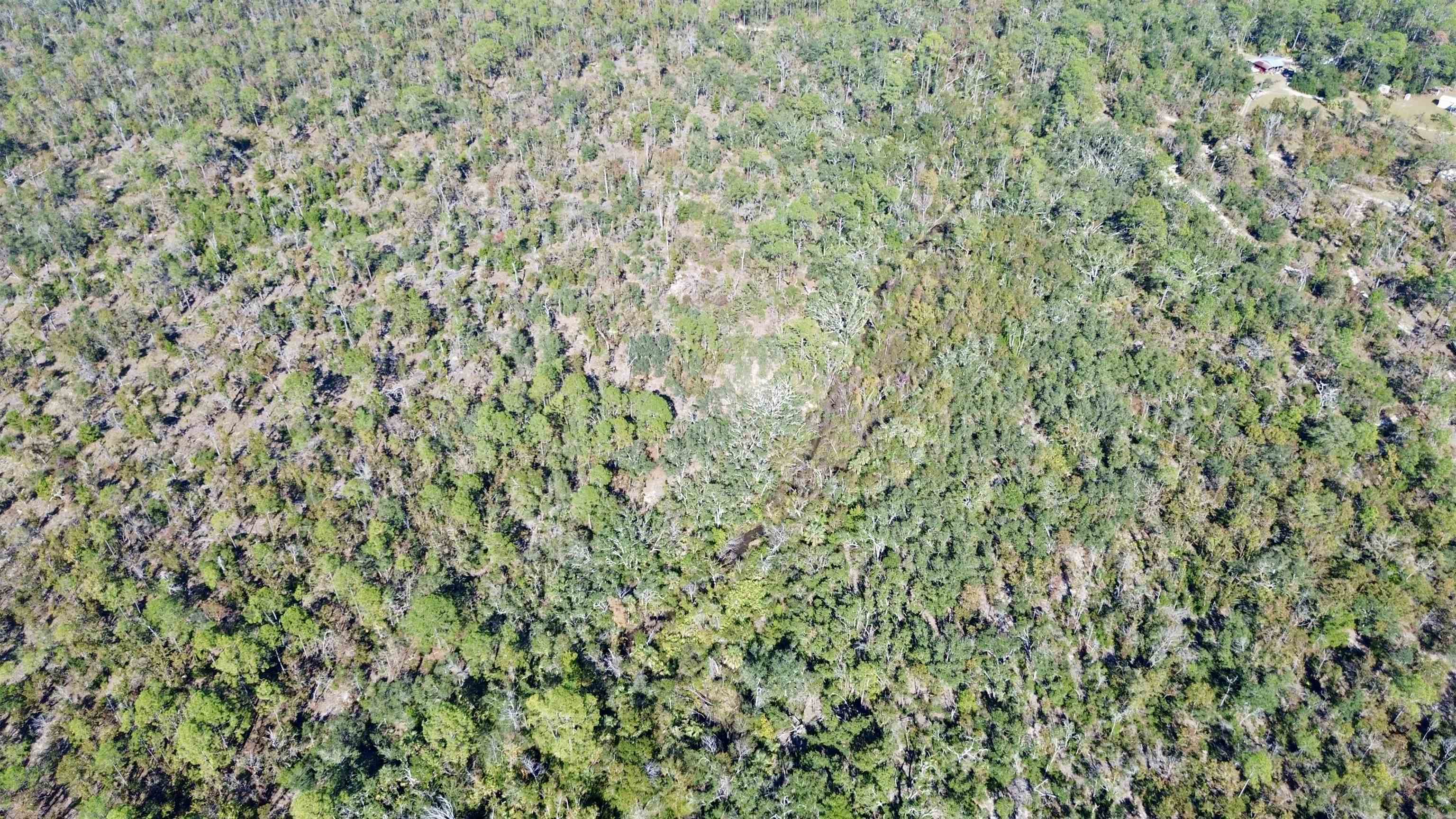 Tbd Clearwater Creek Lane Perry, FL 32348 - Photo 6 of 20