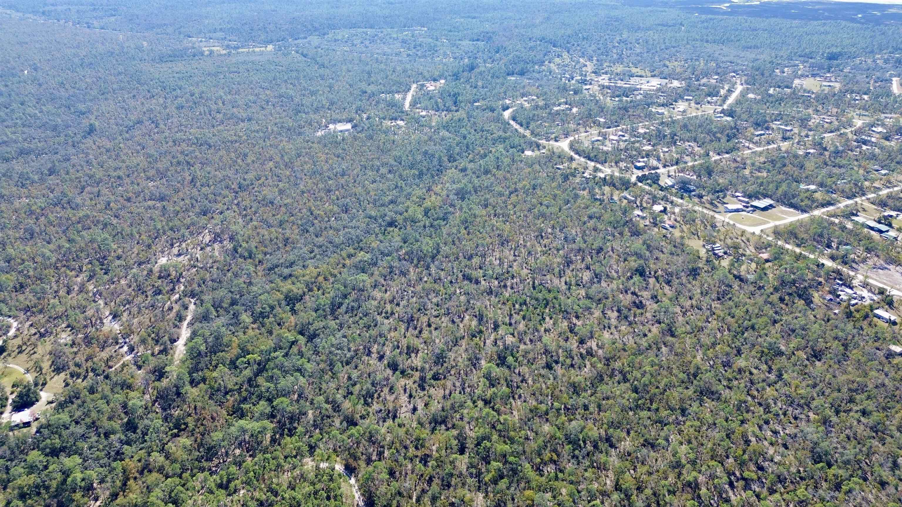 Tbd Clearwater Creek Lane Perry, FL 32348 - Photo 8 of 20