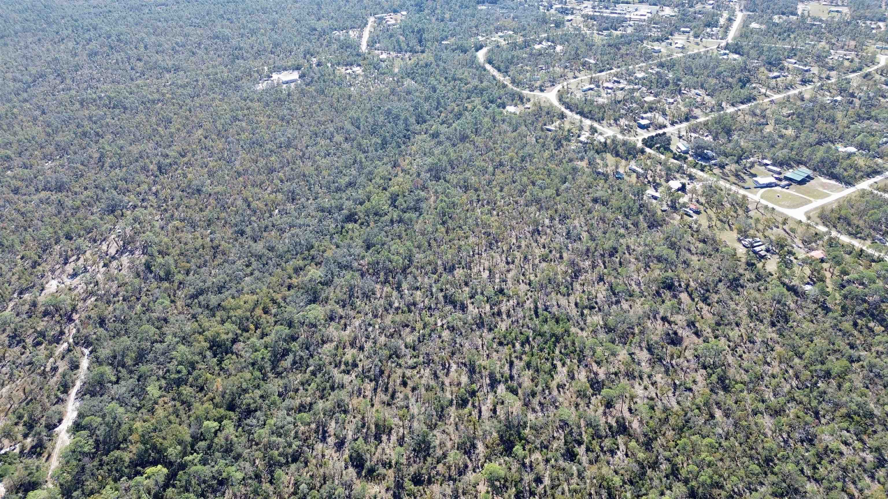 Tbd Clearwater Creek Lane Perry, FL 32348 - Photo 10 of 20