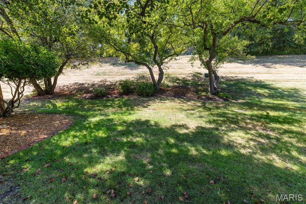 2387 Baxton Way Chesterfield, MO 63017 - Photo 63 of 64