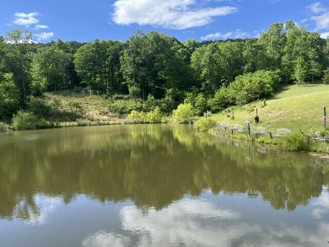 2463 Willow Bend Road Lindside, WV 24951 - Photo 5 of 75 Gallery Image 5
