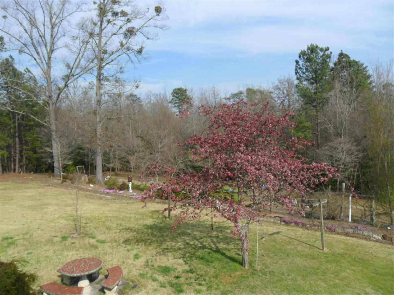 4504 Sandy Flat Road Taylors, SC 29687 - Photo 2 of 17