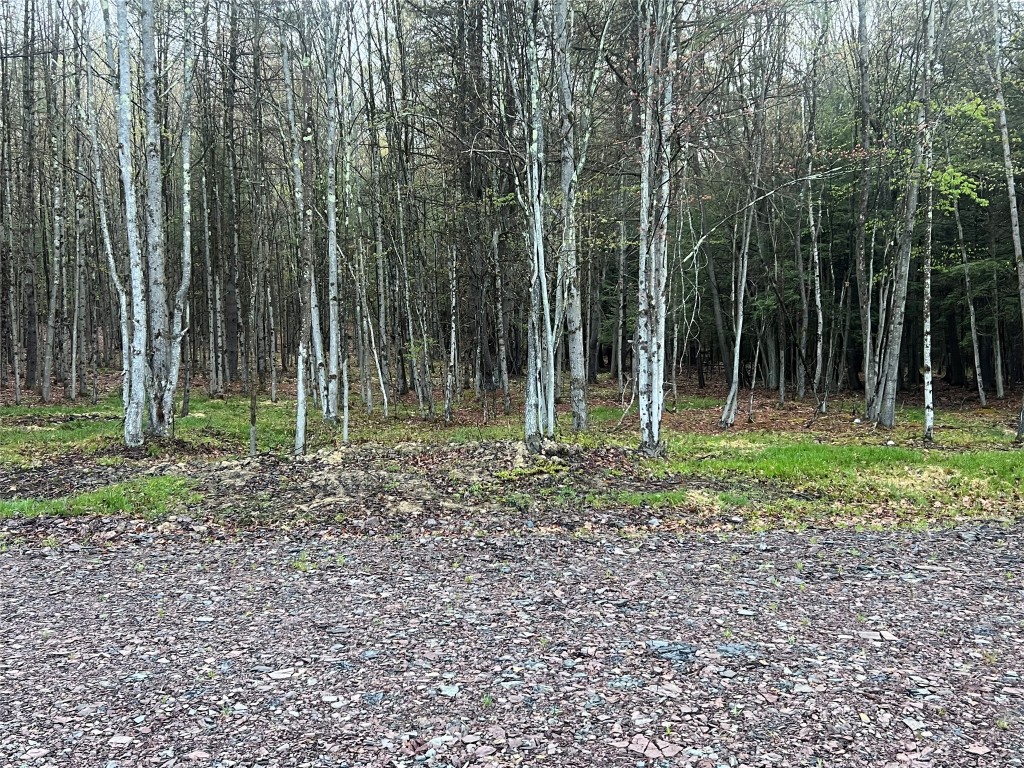 289 Stannard Road Windsor, NY 13865 - Photo 3 of 9