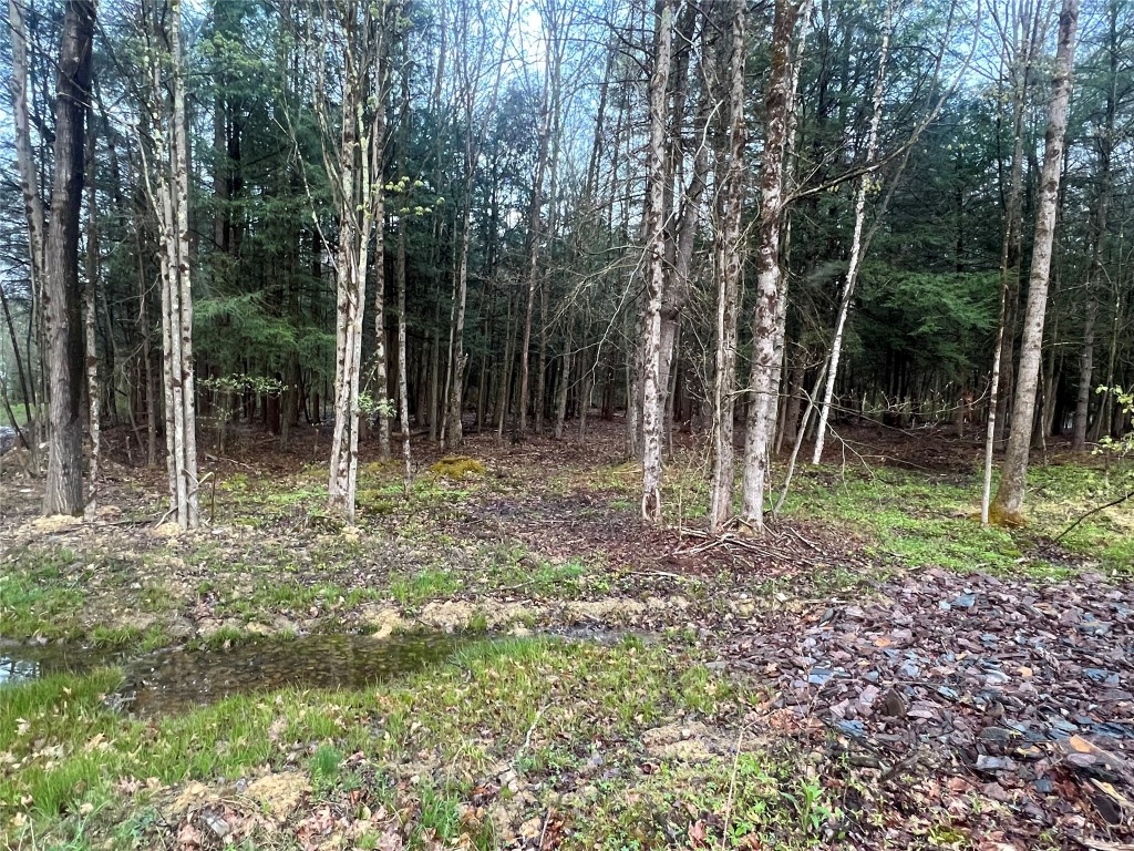 289 Stannard Road Windsor, NY 13865 - Photo 6 of 9