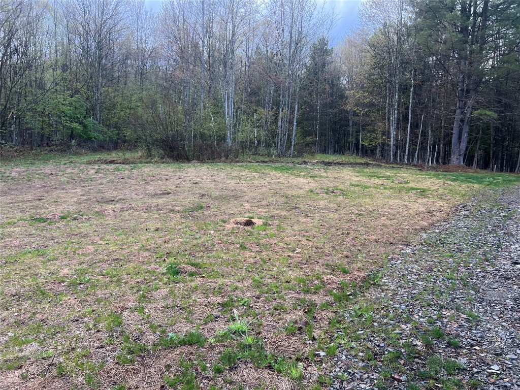 289 Stannard Road Windsor, NY 13865 - Photo 9 of 9